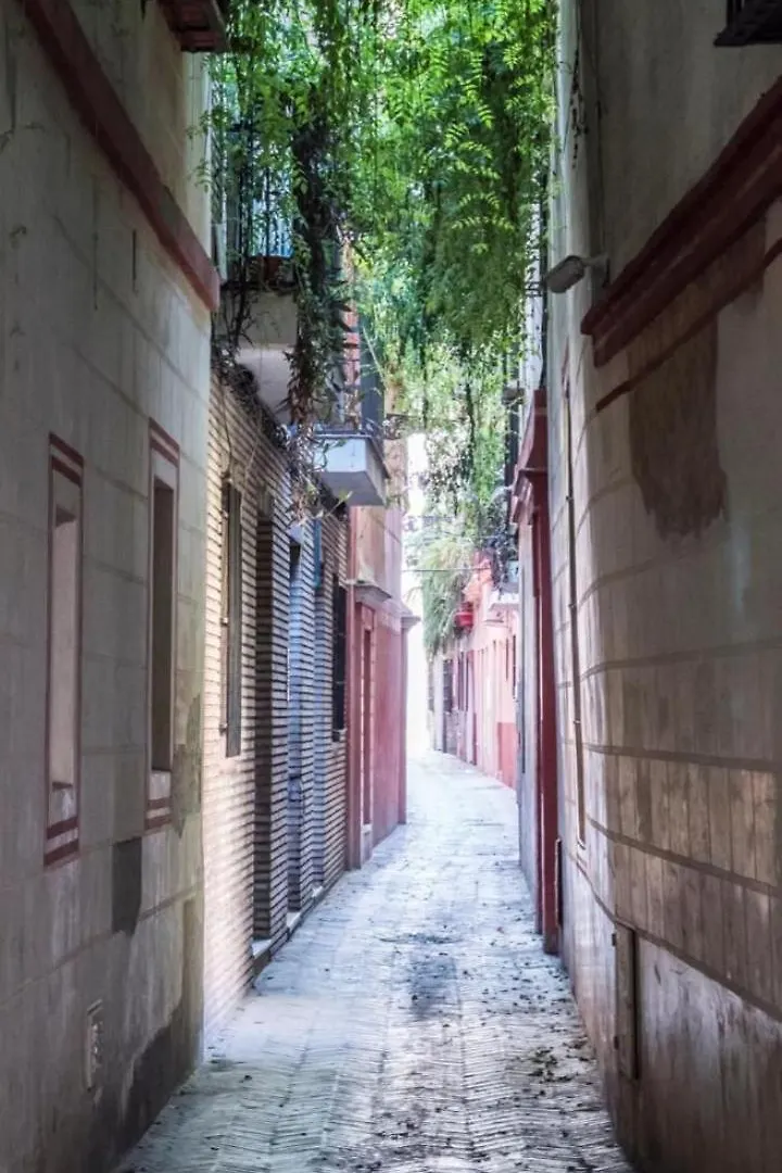 La Casa De Pepa Apartment Seville 0*,  Spain