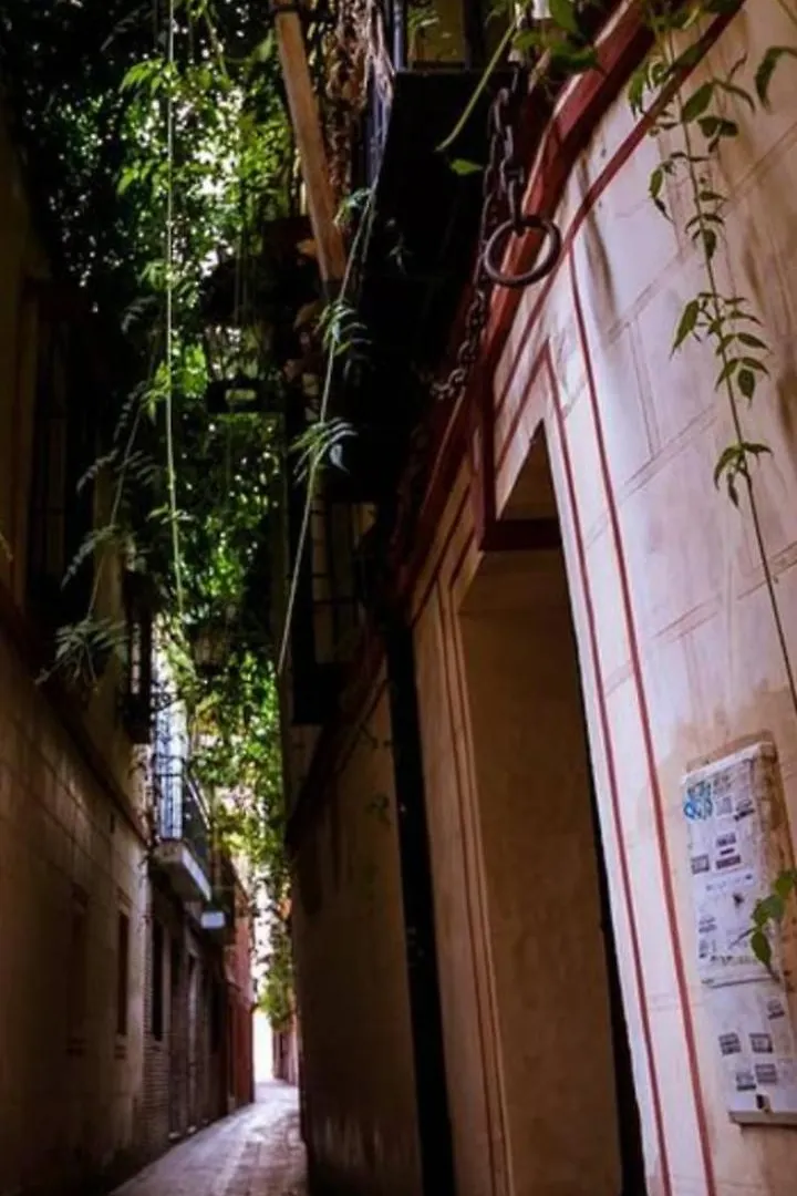 La Casa De Pepa Apartment Seville