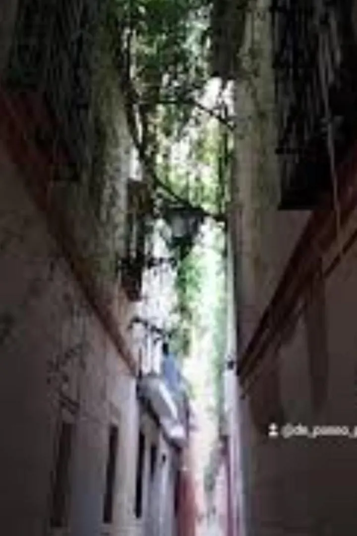 La Casa De Pepa Apartment Seville Spain